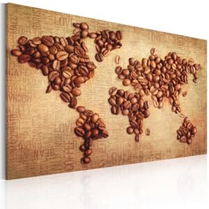 Obraz na plátně - Coffee from around the world 60x40 cm