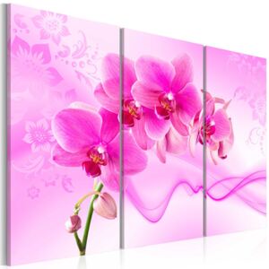 Obraz na plátně - Ethereal orchid - pink 120x80 cm
