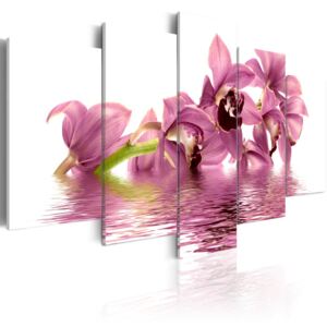 Obraz na plátně - Floating lilies 100x50 cm