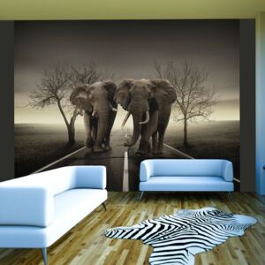 Fototapeta Bimago - City of elephants + lepidlo zdarma 350x270 cm
