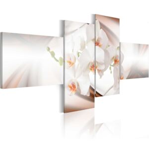 Obraz na plátně - Krémově bílé orchideje 200x90