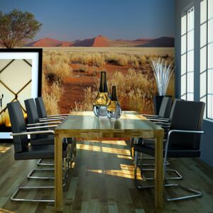 Bimago Fototapeta - Desert landscape, Namibia 200x154 cm