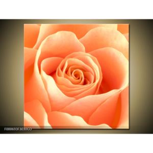 Obraz růže (F000693F3030GD)