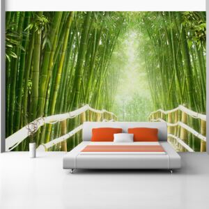 Bimago Fototapeta strom - Magical world of green 400x280 cm
