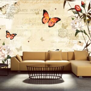 Bimago Fototapeta - Melodies of butterflies 350x245 cm