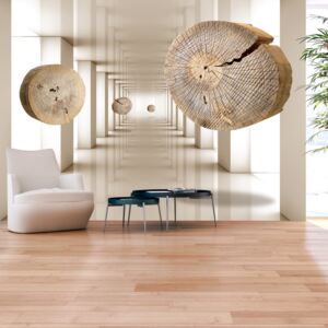 Bimago Fototapeta - Flying Discs of Wood 300x210 cm