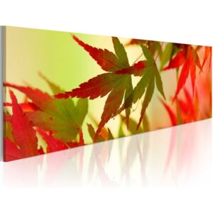 Bimago Obraz na plátně - Touch of autumn 120x40 cm