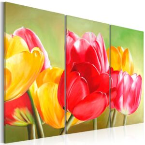 Obraz na plátně - Tulips bloom again... 120x80
