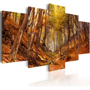 Obraz na plátně - Orange autumn 100x50 cm