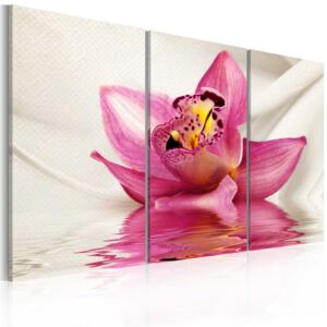 Obraz na plátně - Unusual orchid - triptych 60x40 cm