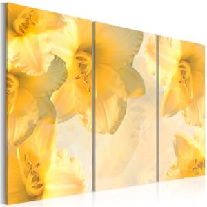 Obraz na plátně - Žluté lilie 120x80 cm