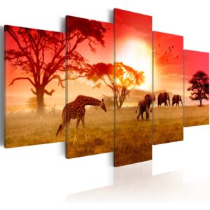 Obraz na plátně - Sunny colours of Africa 100x50 cm