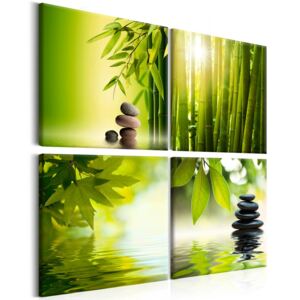 Obraz na plátně Bimago - Zelený klid 40x40 cm