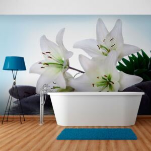 Fototapeta Bimago - Pure, white lilies + lepidlo zdarma 200x154 cm