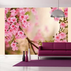 Fototapeta Bimago - Pink azalea + lepidlo zdarma 200x154 cm