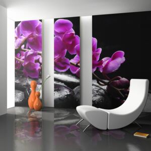 Bimago Fototapeta květiny - Relaxing moment: orchid flower and stones 200x154 cm