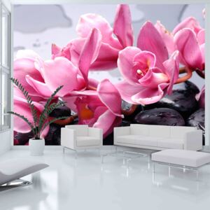 Fototapeta Bimago - Orchid flowers with zen stones + lepidlo zdarma 200x154 cm