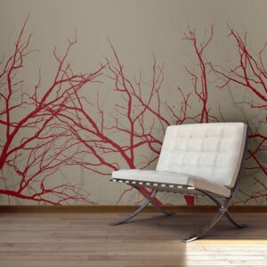 Fototapeta Bimago - Red-hot branches + lepidlo zdarma 250x193 cm