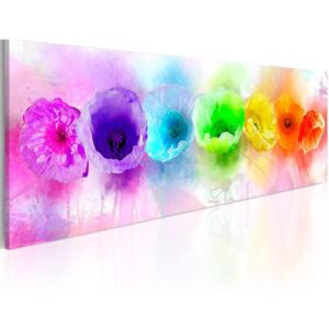 Obraz na plátně - Rainbow-hued poppies 120x40 cm