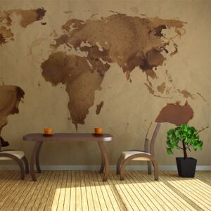 Bimago Fototapeta - Tea map of the World 450x270 cm