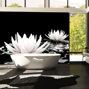 Bimago Fototapeta - Water lilies on the abstract surface 200x154 cm