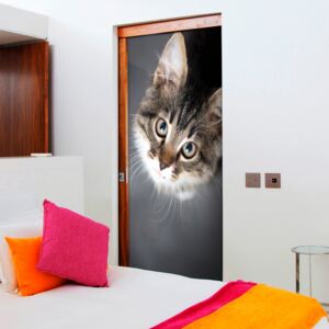 Fototapeta na dveře Bimago - Charming Kitten + lepidlo zdarma 70x210 cm