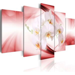 Obraz na plátně Bimago - Orchideje - červené odstíny 100x50 cm