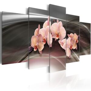 Obraz na plátně - Růžové orchideje 100x50 cm
