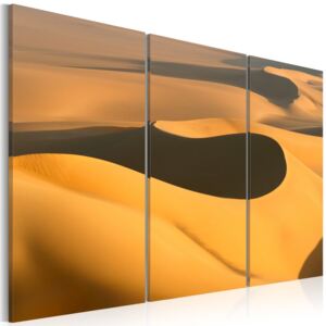 Obraz na plátně - Nekonečná poušť 60x40 cm
