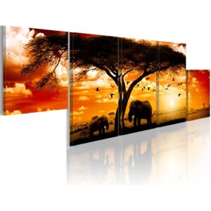 Obraz na plátně - Red sunset - Africa 100x30