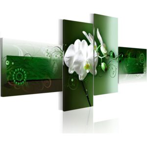 Obraz na plátně - Orchidea na zeleném pozadí 200x90