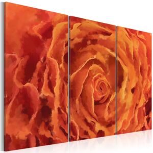 Obraz na plátně Bimago - Rose v oranžové barvě - triptych 60x40 cm