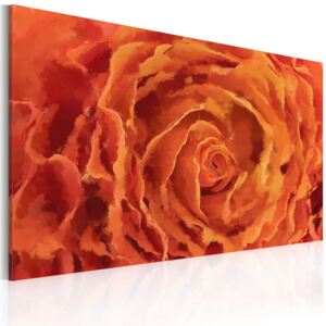 Obraz na plátně Bimago - Rose v oranžové 90x60 cm