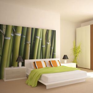 Fototapeta Bimago - dekorace zen - bambus + lepidlo zdarma 200x154 cm