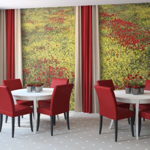 Fototapeta Bimago - Meadow - červené a žluté květy + lepidlo zdarma 250x193 cm