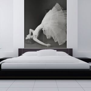 Fototapeta - Dreamy balerína 200x154 cm