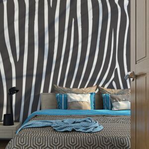 Bimago Fototapeta - Zebra pattern (černobílý) 200x154 cm