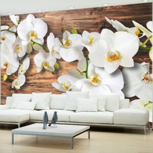 Bimago Fototapeta - Forest Orchid 100x70 cm
