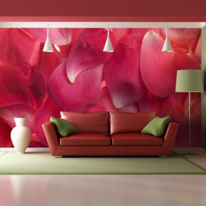 Fototapeta Bimago - Růžové okvětní lístky růží + lepidlo zdarma 200x154 cm