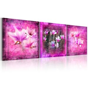 Obraz na plátně - Růžová magnolie 120x40 cm