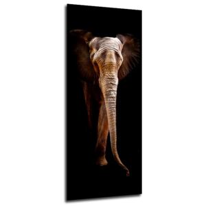 Obraz na skle Styler - Elephant 50x125 cm