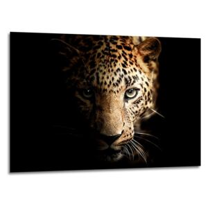 Obraz na skle Styler - Leopard 100x70 cm