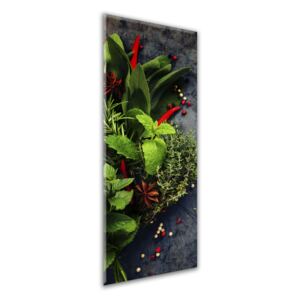 Obraz na skle Styler - Red Pepper 30x80 cm
