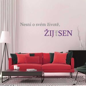 GLIX Žij svůj sen - samolepka na zeď Šedá a fialová 60 x 15 cm