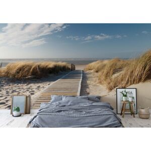 Fototapeta - Beach Walkway Coastal Sand Dunes I. Vliesová tapeta - 368x254 cm
