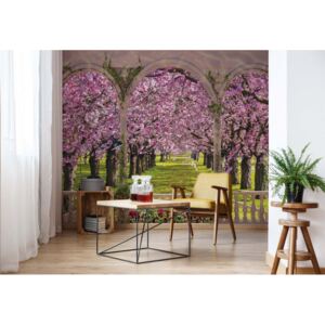 Fototapeta GLIX - Blossoming Trees View + lepidlo ZDARMA Vliesová tapeta - 208x146 cm