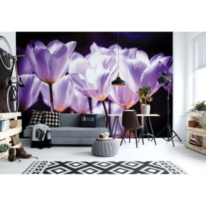 Fototapeta GLIX - Purple Flowers + lepidlo ZDARMA Vliesová tapeta - 254x184 cm