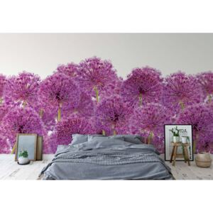 Fototapeta - Purple Flowers II. Vliesová tapeta - 416x290 cm