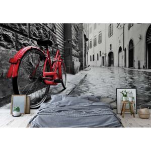 Fototapeta - Black And White Red Bicycle Old Street Vliesová tapeta - 416x254 cm
