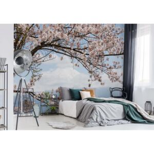 Fototapeta - Cherry Blossom Tree Vliesová tapeta - 416x290 cm